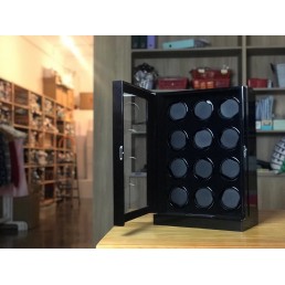 12+0 Madagascar Watch Winder